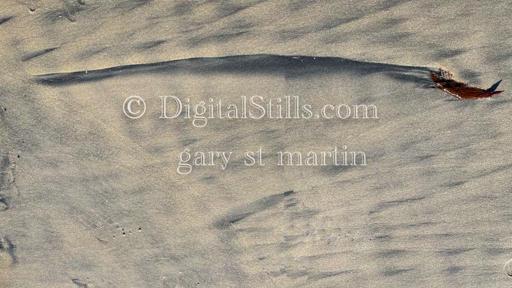 Cut in the sand