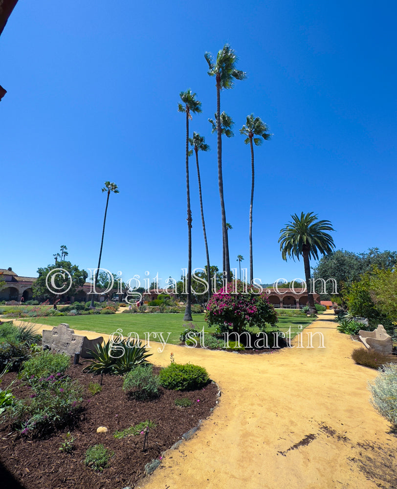 Tall Palm Trees In Mission San Juan Capistrano , Digital, California Missions