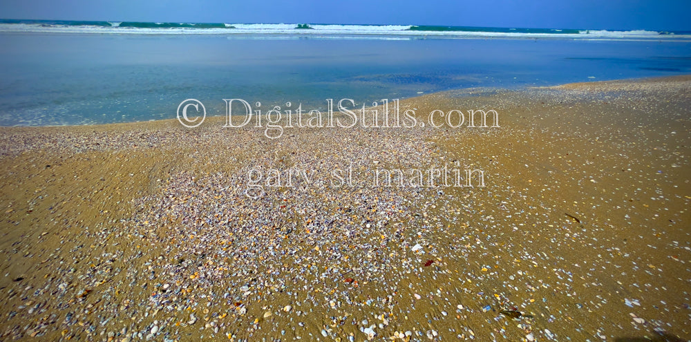 Colorful shells on the shore, digital sunset