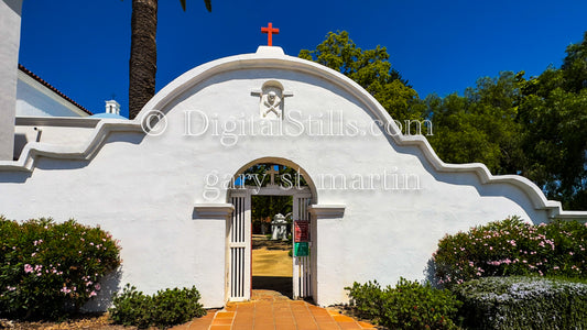 Closeup Wide Angle Flowers, Mission San Luis Rey
