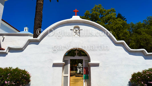 Closeup Wide Angle Flowers, Mission San Luis Rey V2 Rich text editor