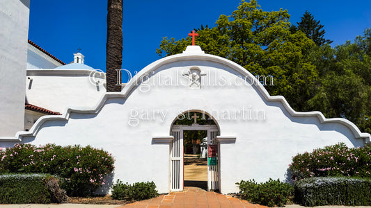 Closeup Wide Angle Flowers, Mission San Luis Rey V3