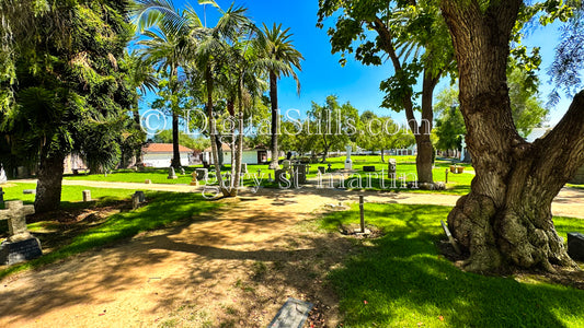 Green Grass, Mission San Luis Rey