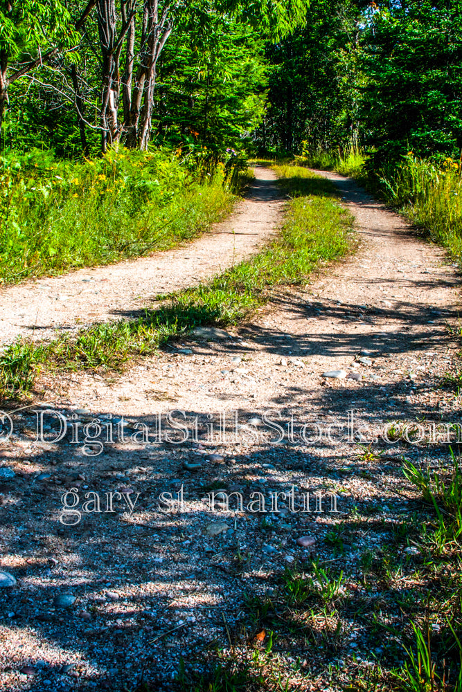 Looking down the dirt road