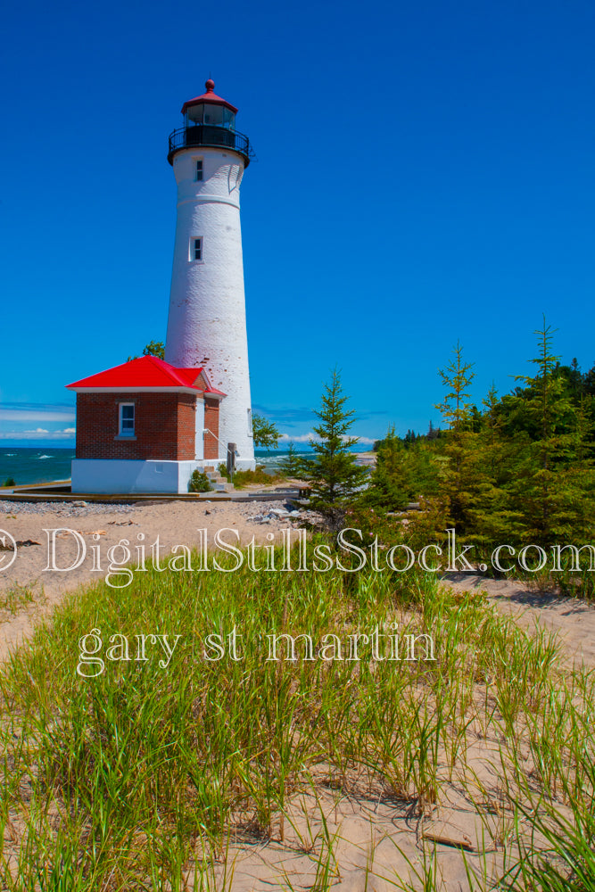 Lighthouse along the grassy shore, digital crisp point