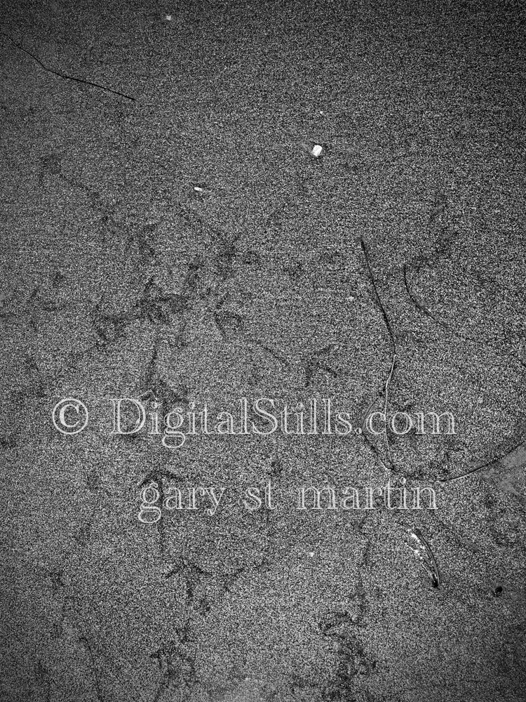 Monochrome sand prints, digital sunset