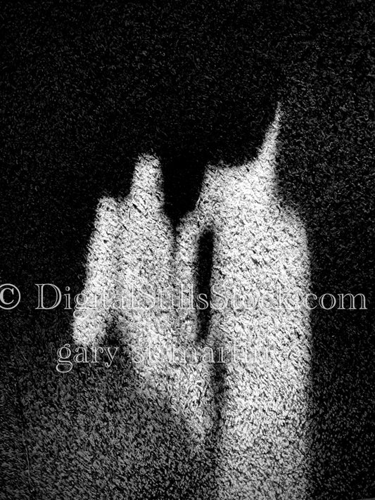 Alien Abduction, digital shadow art