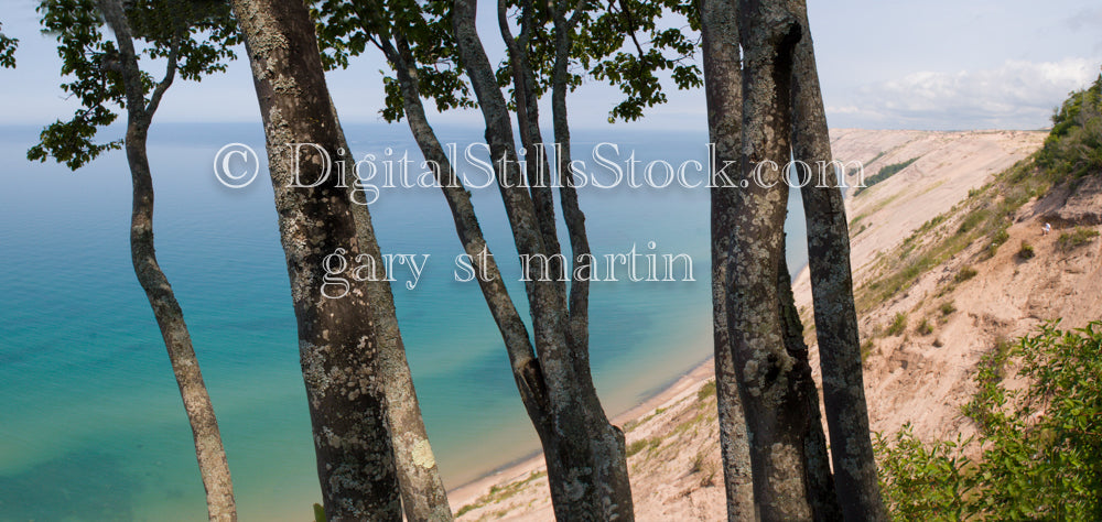 Wide View of Trees in front of bright blue lake, digital wide views