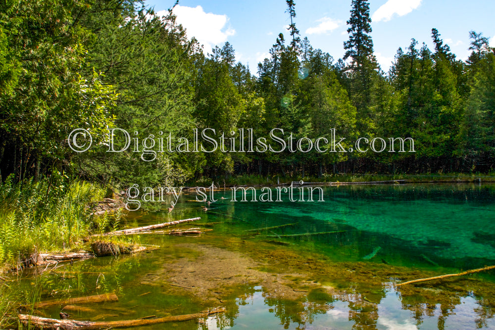 Springs, Wider View, Digital, Michigan, Big Springs