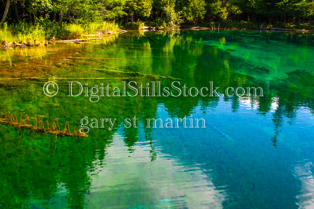 Looking across the water, Big Springs, digital big springs