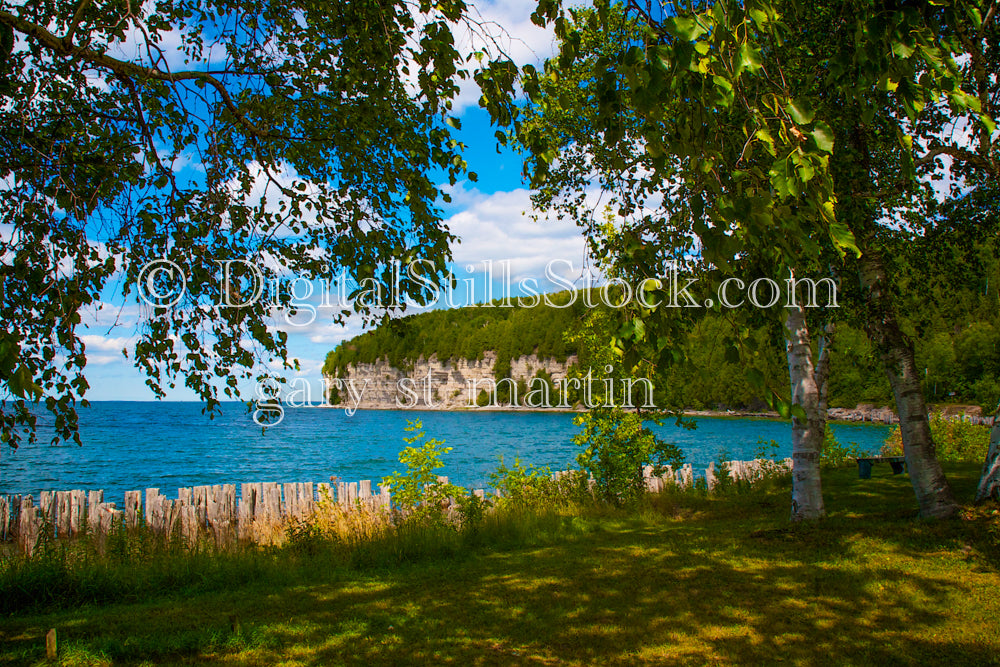 Scenic view, Through the Trees, Digital, Michigan, Fayette