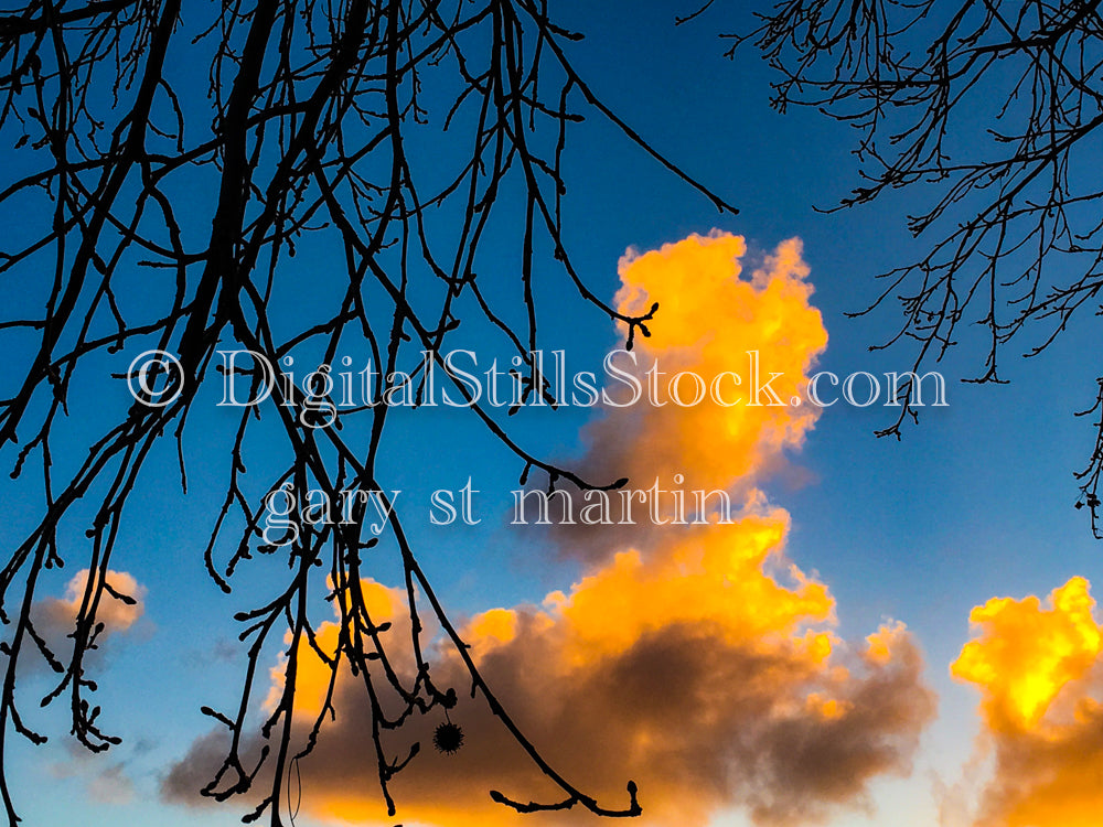Gilded Clouds - Sunset , digital sunset