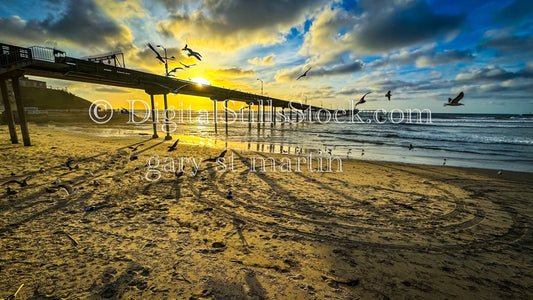 Seagulls Flying Low - Ocean Beach Pier, digital ocean beach pier