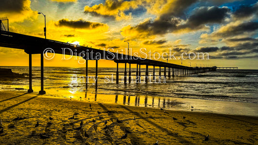 Golden Hour at Ocean Beach Pier, digital ocean beach pier