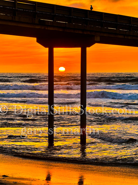 Sun setting between the Pier Posts - Ocean Beach Pier, digital ocean beach pier