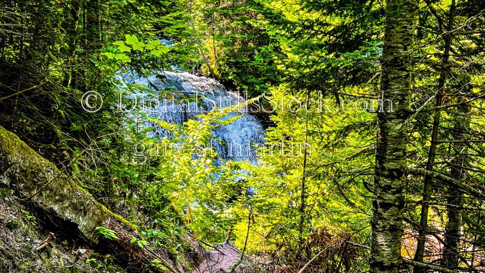 Sable Falls through the trees, digital Grand Mraais