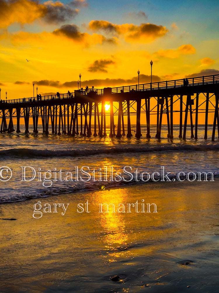 Portrait of the Pier Posts - Oceanside Pier, digital oceanside pier