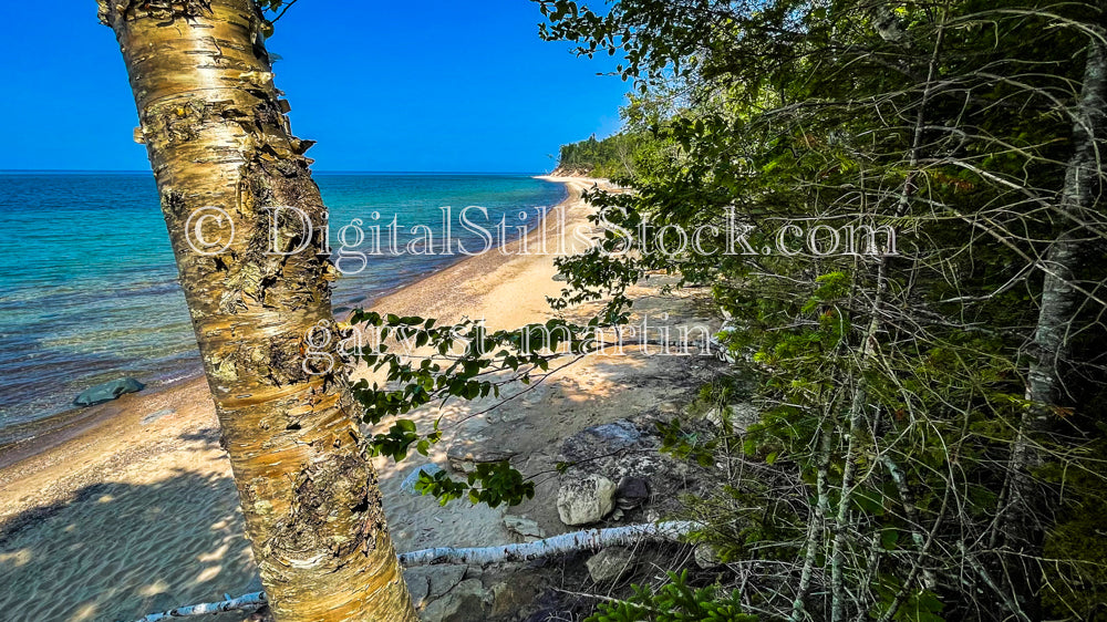 Closeup of a Tree trunk on the shore of Lake Superior, digital Grand MArais