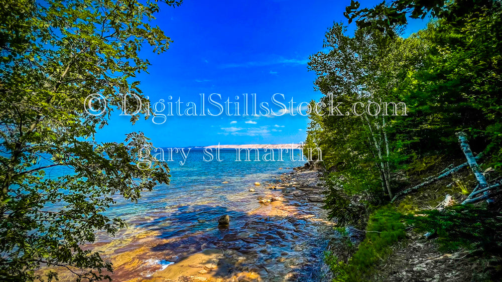 Wide angle view of Logside Sand Dunes through the trees, digital Grand Marais