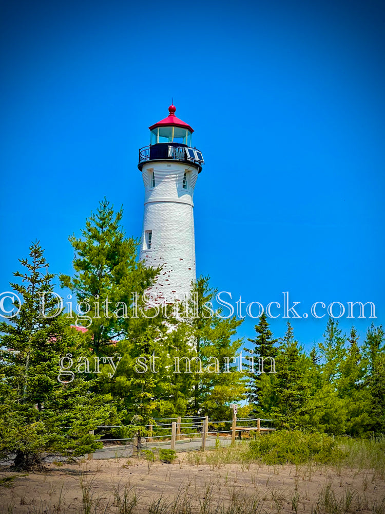 Crisp Point Lighthouse surrounded by pine trees, digital Crisp Point