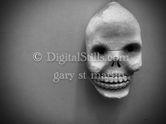 Skull Mask, B&W, New Orleans, Digital