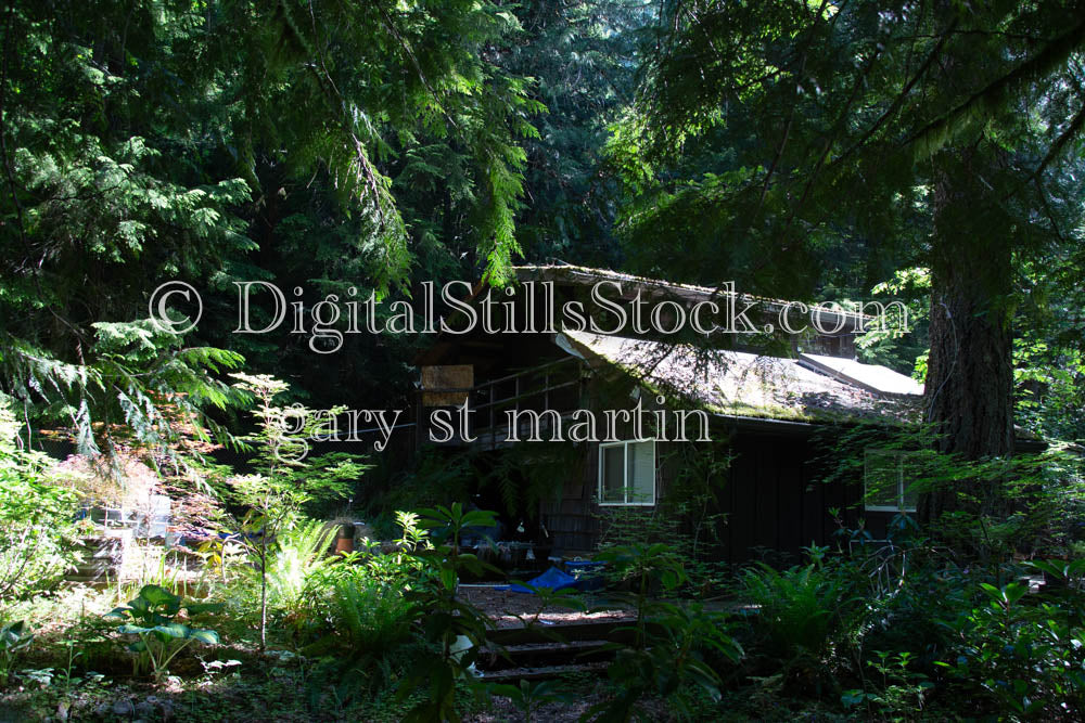 Belknap Oregon Hidden Cabin for Rent