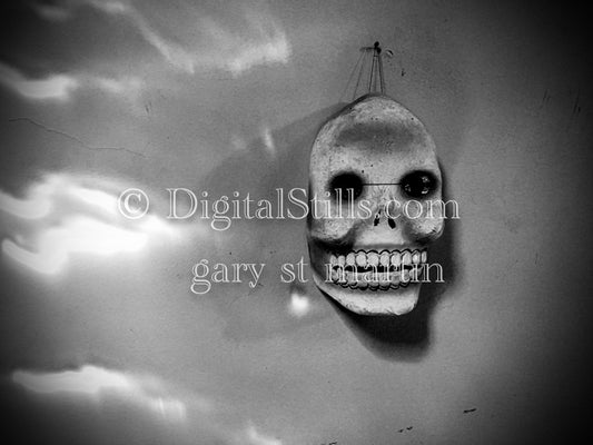 Skull Mask with Reflected Light, New Orleans, Digital
