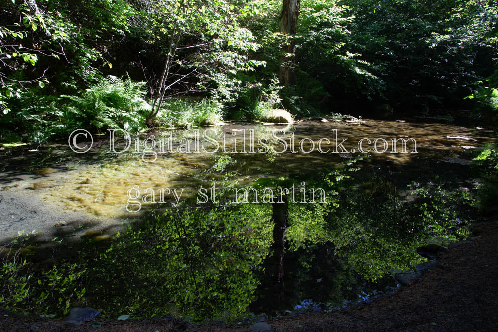McKenzie River Reflection Oregon