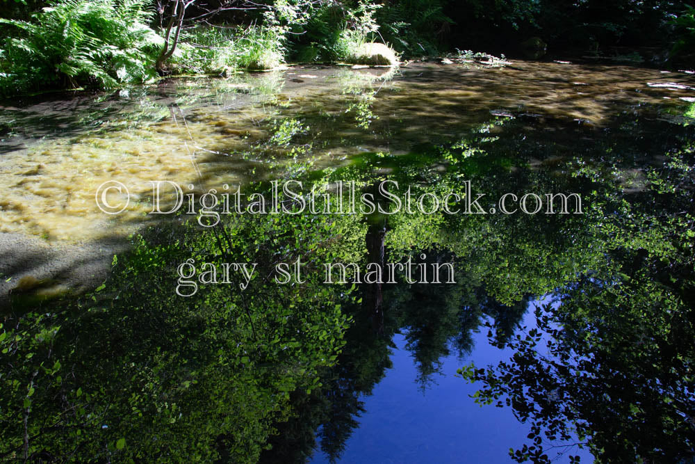 McKenzie River Sky Reflection Oregon