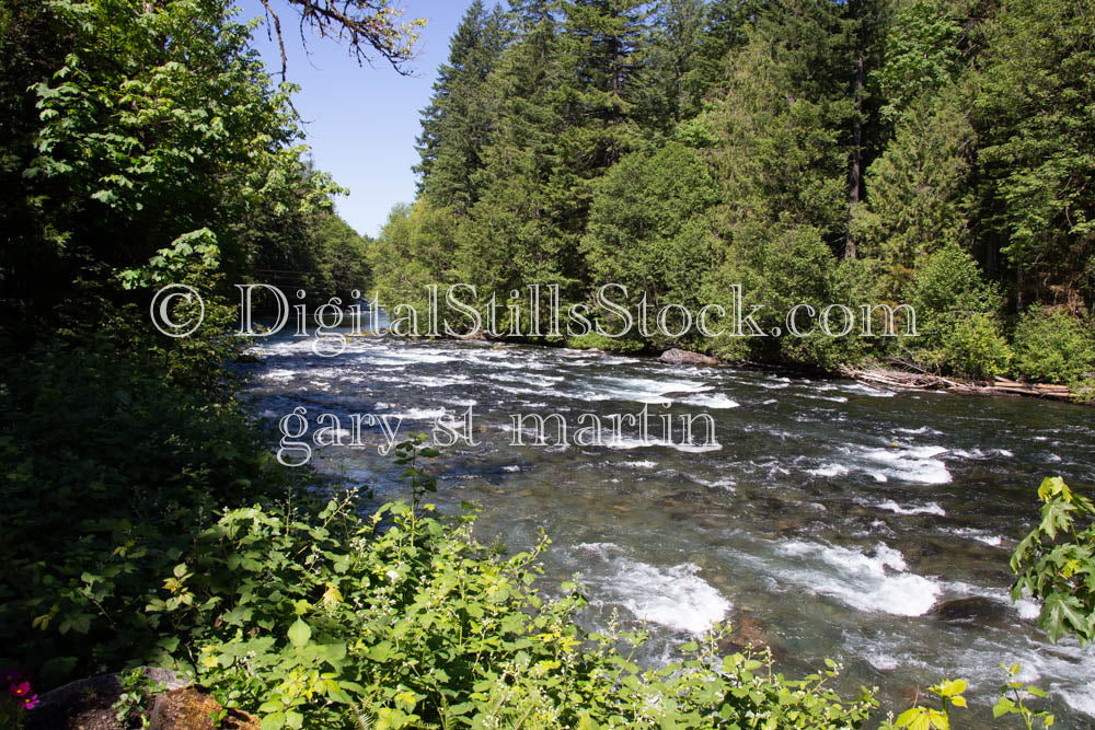 McKenzie River Flow Oregon