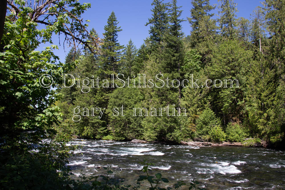 McKenzie River Flow Bank