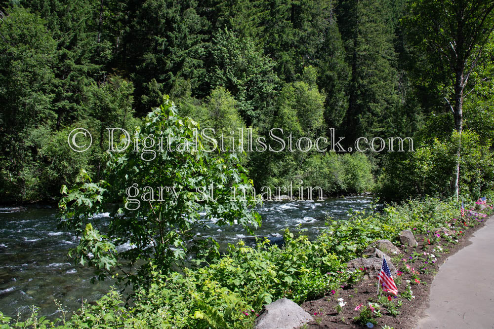 McKenzie River Walking Path With Flag