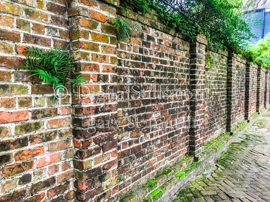 Red Brick Wall, New Orleans, Digital