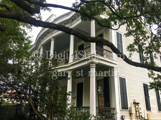 Greek Revival Home Behind a Tree, New Orleans, Digital