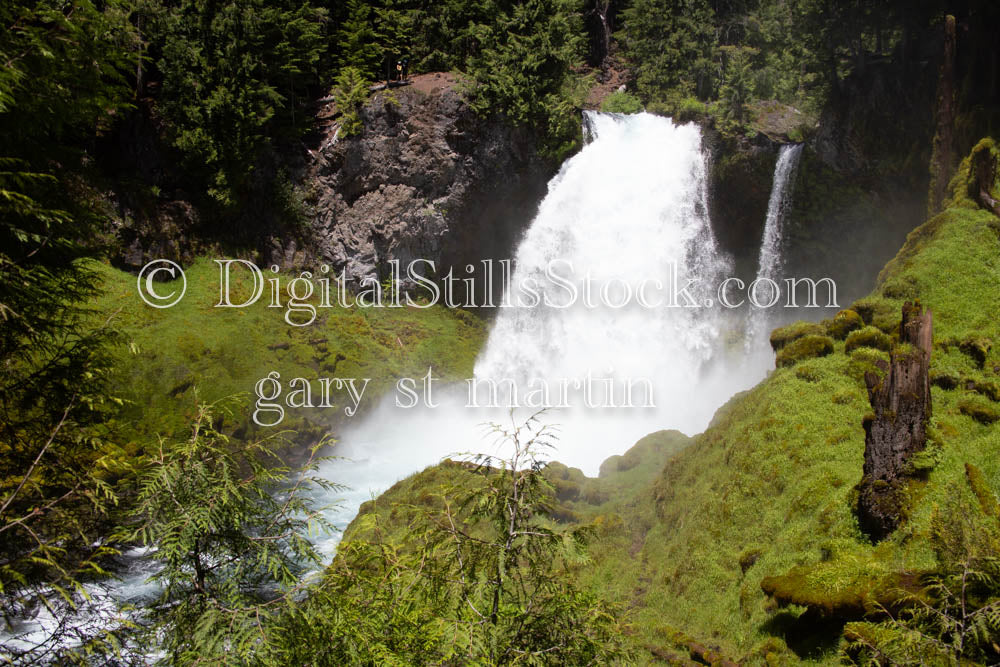 Sahalie Falls Willamette National Forest Close Up