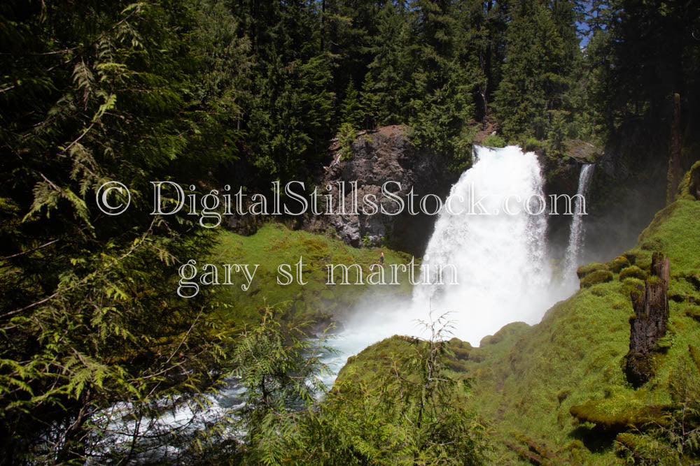 Scenic Sahalie Falls Willamette National Forest
