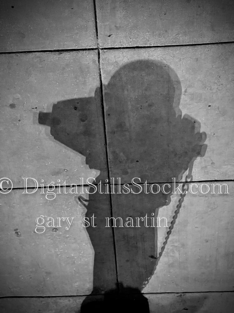 Peanuts (Charlie Brown) Back for Another Run, digital shadow art