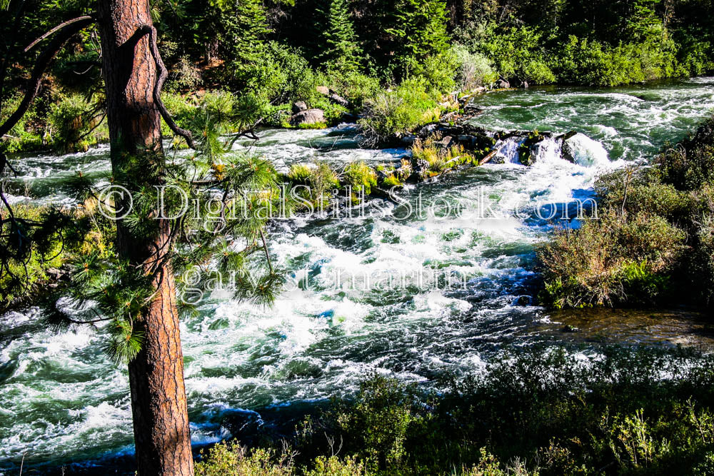 White Water Rapids Willamette River Oregon