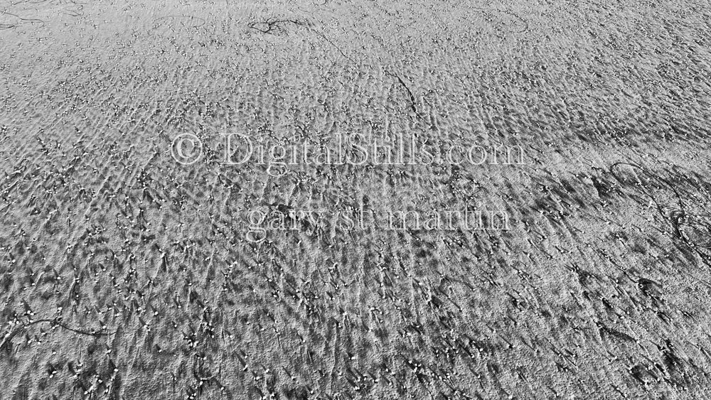 Black and white sand specks, digital sunset