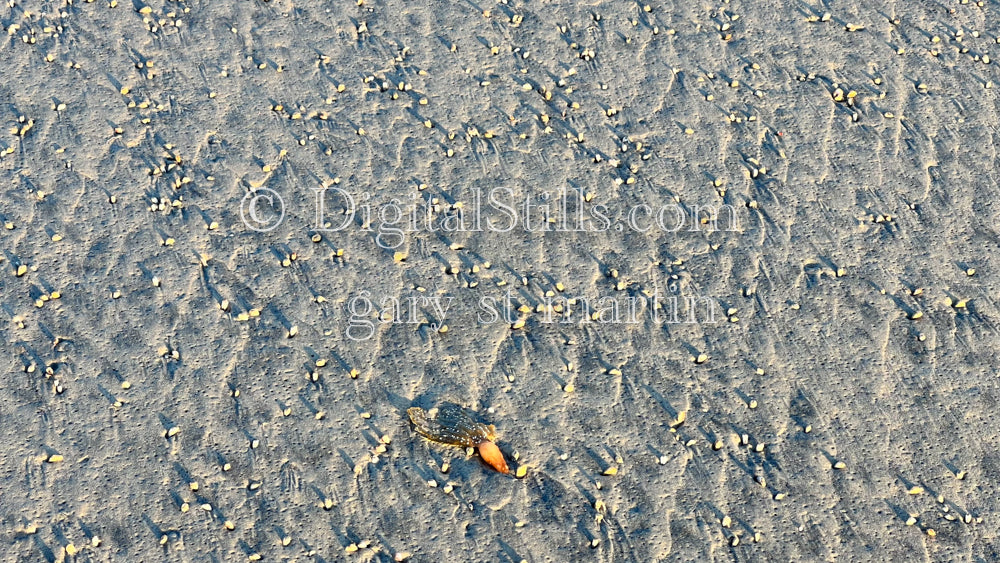 Specks in the sand, digital sunset