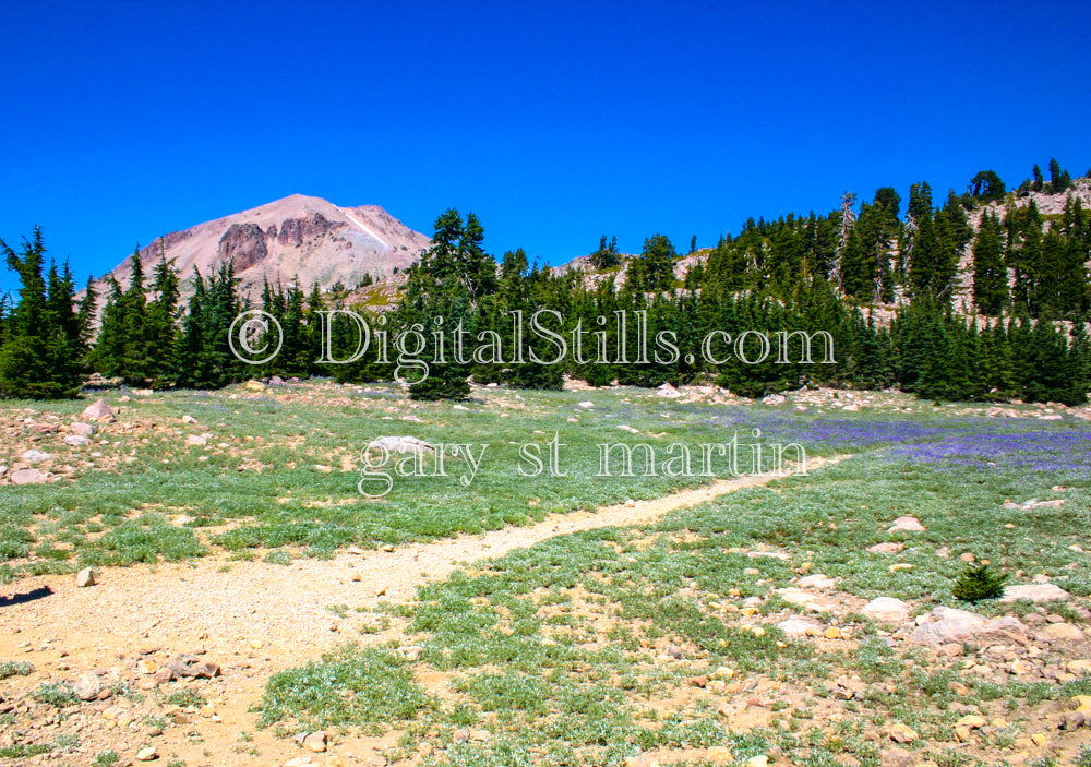 Lassen Trail Volcanic National Park, CA Digital, California, Lassen