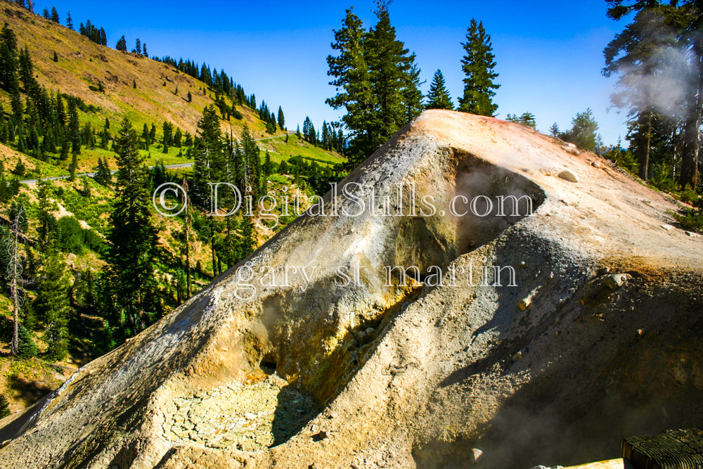 Cut Tree In Lassen Volcanic National Park, CA Digital, California, Lassen