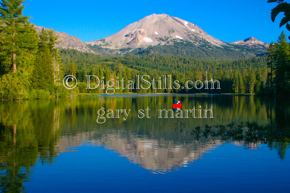 Digital, California, Lassen Manzanita, Lassen Volcanic National Park, CA 