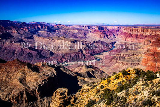 Yellow Foliage, New Growth Foreground, Digital, Arizona, Grand Canyon