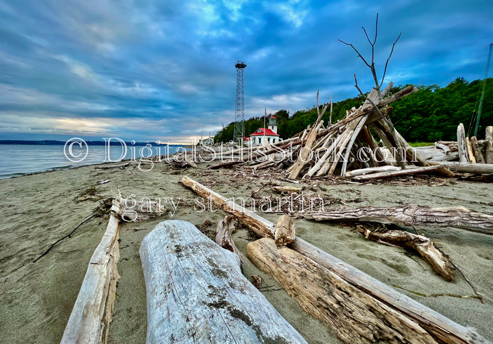 Tent of Trees on the Beach - Vashon Island, digital Vashon Island
