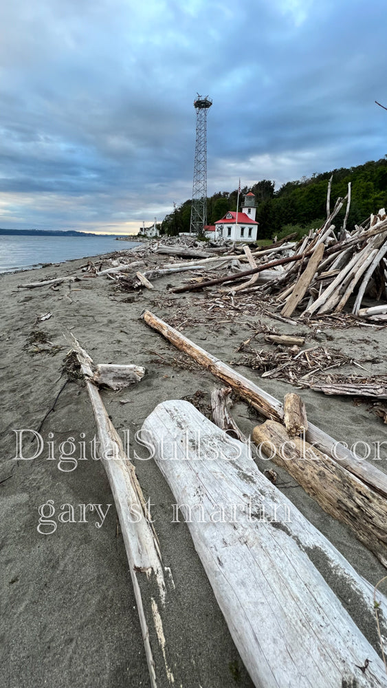 Bunches of Wood on the Sand - Vashon Island, digital Vashon Island