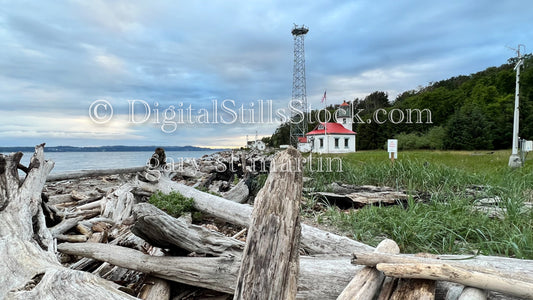 Worn down wood along the coast - Vashon Island, digital Vashon Island