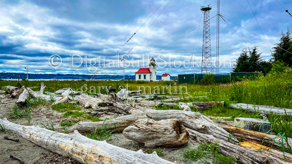 Driftwood on the Grassy Shoreline - Vashon Island, digital Vashon Island