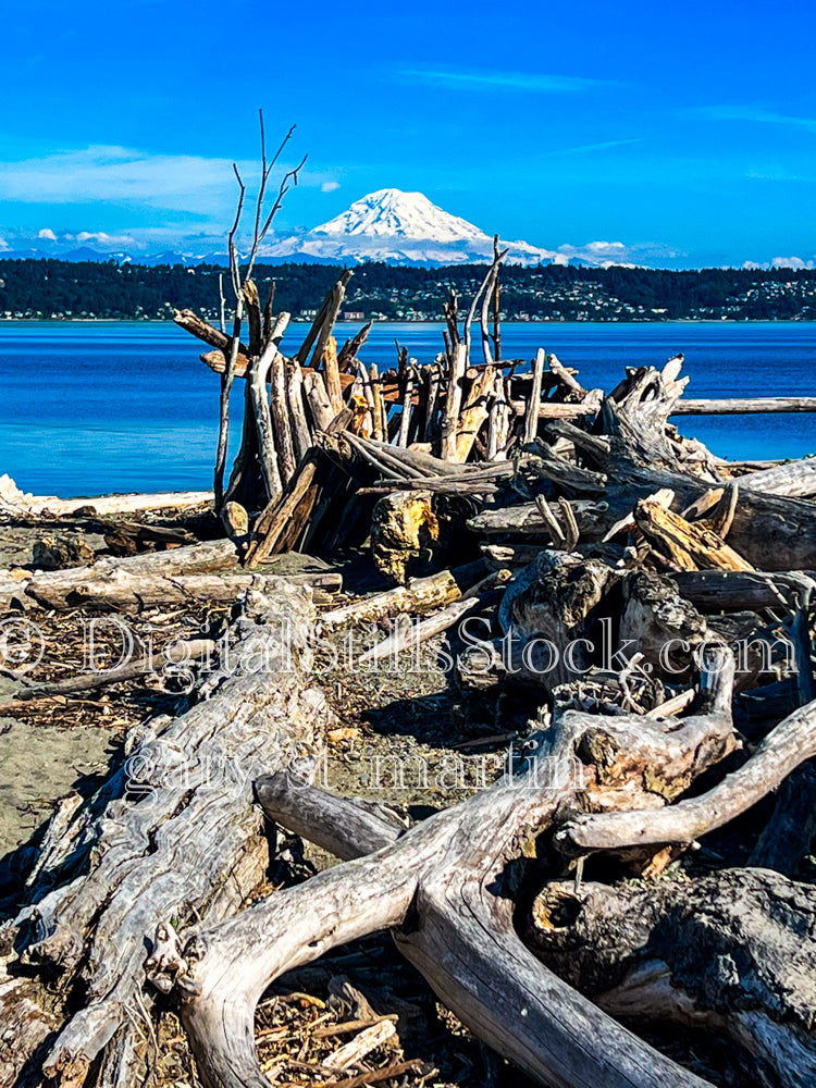 Wooden tent in front of Mt. Rainier - Vashon Island, digital Vashon Island