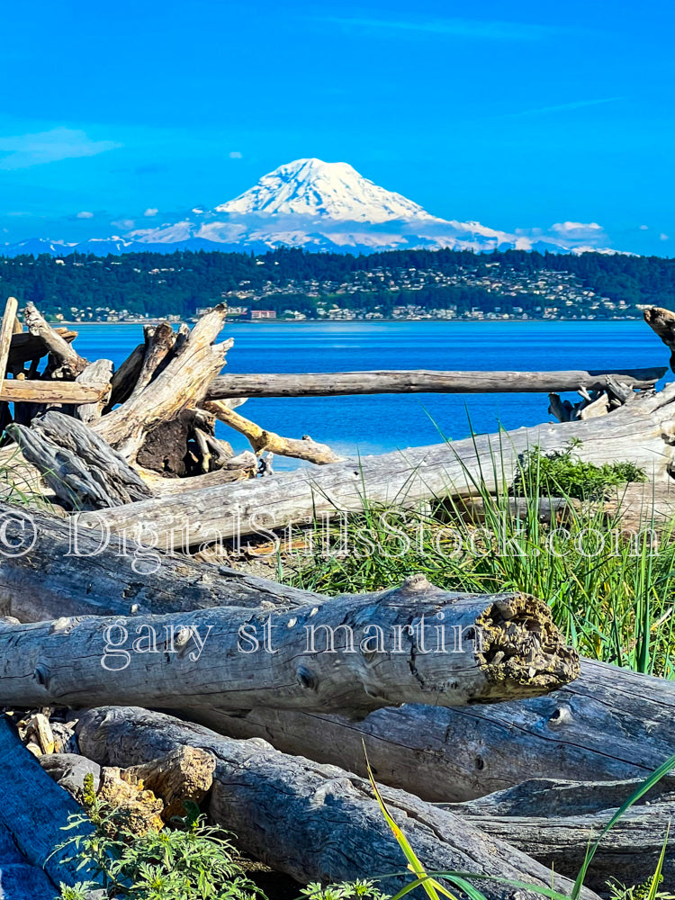 Wooden lines in front of Mt. Rainier - Vashon Island, digital Vashon Island